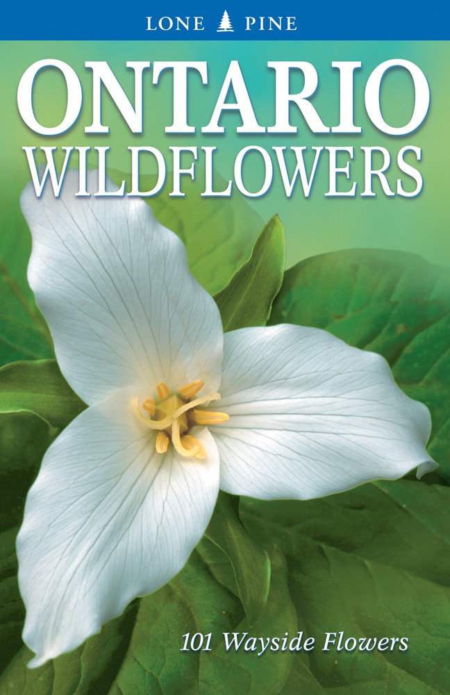 Ontario Wildflowers: 101 Wayside Flowers