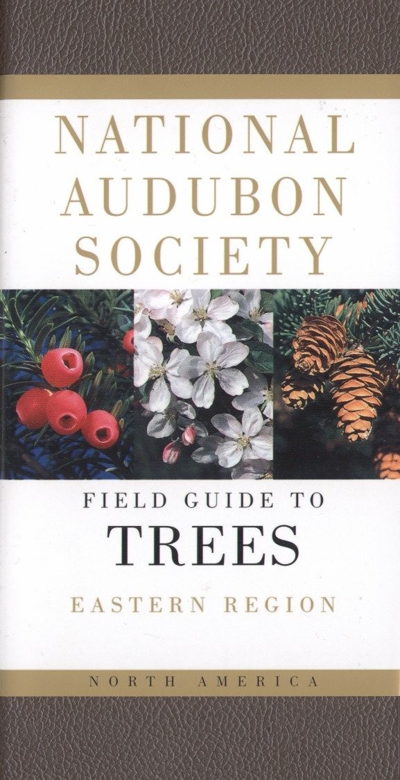 Field Guide to North American Trees: Eastern Region