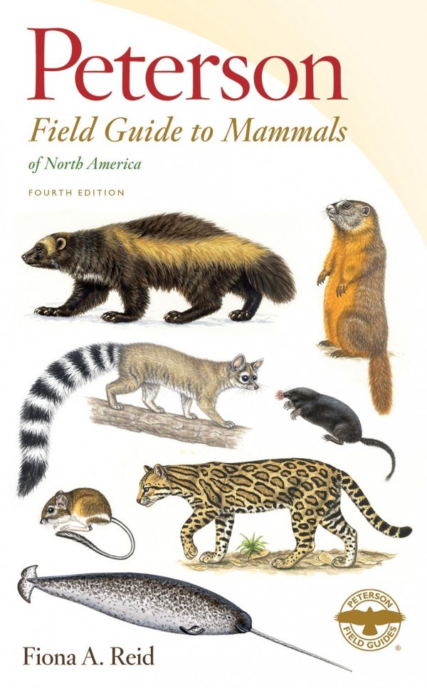 Peterson Field Guide to Mammals of North America