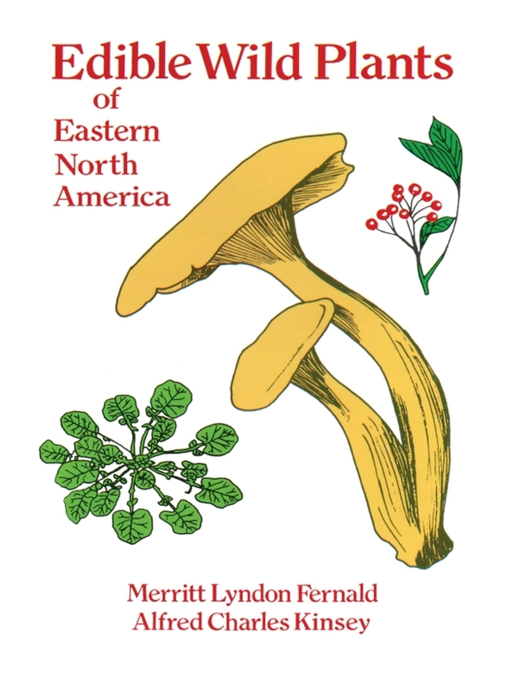 Edible Wild Plants of Eastern North America