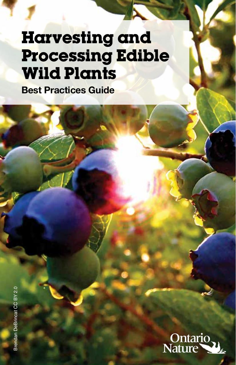 Harvesting & Processing Edible Wild Plants